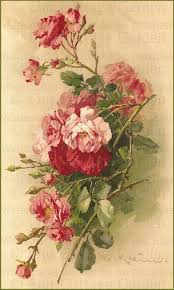 Pink Roses Catherine Klein Artist Study Our Cottage Garden Catherine Klein Rose Painting Rose Art