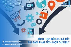 Tích Hợp Dữ Liệu Là Gì? Tại Sao Phải Tích Hợp Dữ Liệu?