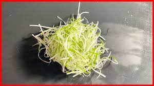 髢葱（かもじねぎ）白髪葱（しらがねぎ）針葱（はりねぎ）とは？日本会席料理でプロの使い分け・ネギの切り方を細かくまとめました｜Cookpro
