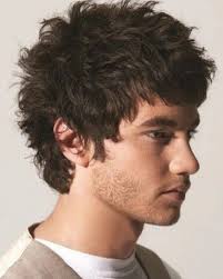 15+ Hottest Wolf Cut for Men 2025: Trend Every Guy Should Try.