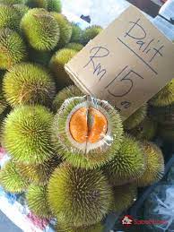 Sầu riêng ruột đỏ khá dễ tính nên bạn có thể trồng trên nhiều loại đất như đất thịt,cát pha, dất đỏ bazan nhưng đất trồng cần phải tơi xốp và thoát thu hoạch sầu riêng ruột đỏ: Sáº§u Rieng Ruá»™t Ä'á» La Co Tháº­t Khiáº¿n Cá»™ng Ä'á»™ng Máº¡ng Xon Xao