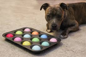 Is your dog destroying your yard or garden? Puzzle Toys For Dogs Uk Bursanurpar Com Tr