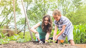 Most vegetables need six to eight hours of direct sunlight per day, but not all vegetables are the same. 5 Things To Know Before You Start A Vegetable Garden Northwestern Mutual
