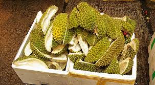 Ia mudah ditanam dan kurang diserang penyakit dan perosak. Pemanfaatan Limbah Kulit Durian Smk Abdurrab Pekanbaru