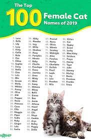 That means cat lovers are choosing jack, jasper, and william (nickname willie) as kitten names. Cat Names Come In All Shapes And Sizes Learn The Most Popular Choices For Male And Female Kittens And Get Inspire Anak Kucing Menggemaskan Piaraan Kucing Lucu