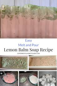 Easy Melt And Pour Lemon Balm Soap Recipe Experimental Homesteader Soap Recipes Lemon Balm Lemon Balm Recipes