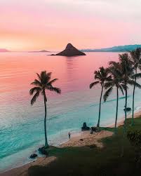 Pin By Lauratjuhh On Travel Surf In 2020 Hawaii Beaches Beach Vacation Travel Hawaii Travel