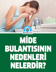 Mide Bulantisinin Nedenleri Nelerdir Saglik Saglik Bilgi Ebeveyn Olmak