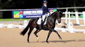 A rising star in germany's dressage community explains the training quality of submission and tells how you can develop it in your horse. L A Dressage Home Facebook