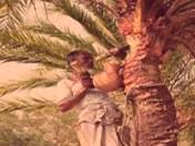 Polli Geeti Bangla Songs All Watch popular bengali folk song ► album name : polli geeti bangla songs all