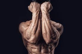 Additionally, this muscle is also a weak flexor of the arm at the shoulder joint. 13 Best Forearm Workouts And Exercises Man Of Many