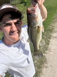 Bass fishing bait presentation techniques