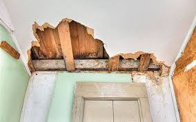 Having mould on the walls in your bedroom can be a real problem. What Kind Of Damp Is Affecting My Home Which