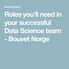 Roles You Ll Need In Your Successful Data Science Team Bouvet Norge Data Science Science Data
