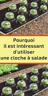 Pourquoi Il Est Interessant D Utiliser Une Cloche A Salade Planter Tomates Astuce Jardin Maraicher