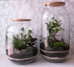 Pin On Terrariums Water