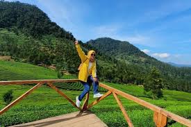 Tempat wisata di bandung selatan yang menarik dan terkenal. 10 Tempat Wisata Di Bandung Selatan Terbaru Dan Terfavorit