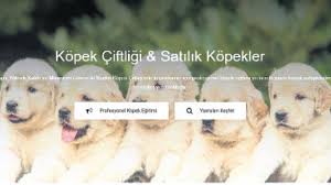 Vurgunda Yeni Yol Kopek Ciftlikleri Son Dakika Milliyet