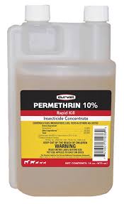 Image result for Permethrin