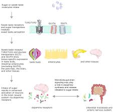 Image result for Taste Sensation