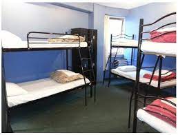 Nomads fat camel hostel was voted new zealand's best backpackers 2007 by guests in the 2007 golden backpacker awards. Fat Camel Hostel Hostel In Auckland Hostelsclub