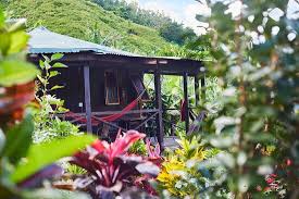 This arrived broken & withered. Hibiscus Valley Inn Review Of Hibiscus Valley Inn Marigot Dominica Tripadvisor