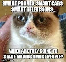 Pin By Abby Rascon On Grumpy Cat Quotes Grumpy Cat Quotes Funny Grumpy Cat Memes Grumpy Cat Humor