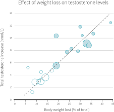 How Can You Increase Testosterone Naturally Examine Com