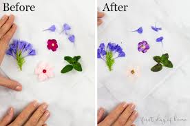 If you'd prefer, you can also preserve the flowers with the stems attached. How To Press Flowers A Complete Guide For Beginners