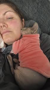 Cat safe body paint?? Yes I'm thinking about a Halloween costume. Cheshire  the cat (dark alice)