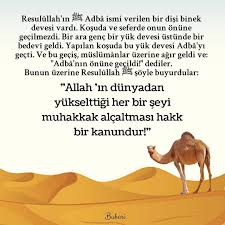 Hadis Hadis I Serif Ozlu Sozler Dualar Guzel Soz