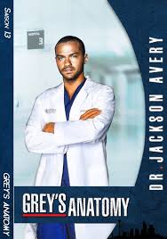 Découvrez les avantages de zoneseries.stream la meilleure plateform de streaming français online. Streaming Grey S Anatomy Saison 13