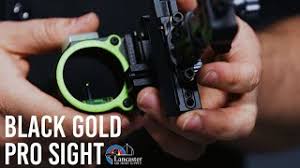We did not find results for: Black Gold Pro Sight Single Pin Youtube