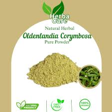 Image result for Oldenlandia cana