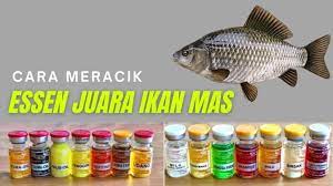 We did not find results for: Cara Meracik Essen Juara Umpan Ikan Mas Segala Musim Caracari
