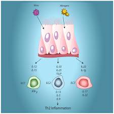 This is a most commonly occurring viral infection, affecting people. Viruses Special Issue Rhinovirus Infections