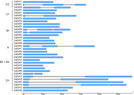 Naime, poznati glumac uslikan je u centru beograda na romantičnoj večeri sa damom koja je gotovo 30 godina mlađa od njega. Genome Wide Analysis Of Dof Transcription Factors Reveals Functional Characteristics During Development And Response To Biotic Stresses In Pepper Scientific Reports