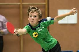 La recherche, l'affichage des textes et d'un court résumé sont gratuits pour tous. Gesucht Wird Der Neue Timo Boll Langenhagen Extra Verlag De