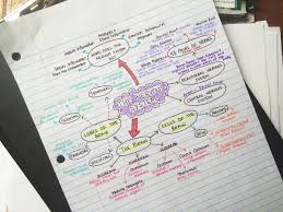 Strive Nervous System Nursing Biology Notes Nervous System Anatomy
