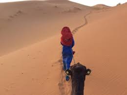 O mesmo que paciência, que cuidado, que parcimônia. Aqui Dicen Que La Prisa Mata Y La Pachorra Remata Jajajjaaj Un Agradable Paseo En Dromedario Picture Of Nomad Expeditions 4x4 Marrakech Tripadvisor