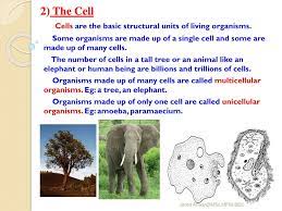 Check spelling or type a new query. Chapter 8 Cell Structure And Functions Ppt Download