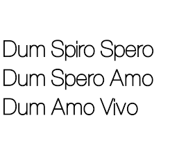 Dum Spiro Spero Dum Spero Amo Dum Amo Vivo Tattoo Latin For While I Breath I Hope While I Hope I Love While I Love I Latin Quotes Latin Phrases Words