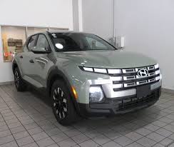 Image result for Hampton Gray 2025 Santa Cruz