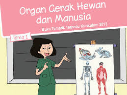 Kunci jawaban tema 2 kelas 5 sd ini ditujukan kepada orang tua atau wali sebagai pedoman untuk mengoreksi hasil belajar anak. Kunci Jawaban Tema 1 Kelas 5 Sd Halaman 107 109 111 Subtema 2 Pembelajaran 5 Semangat News
