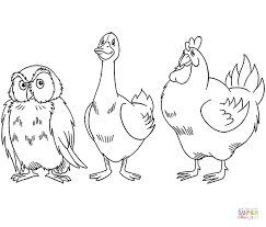 Little Bear Coloring Pages Google Search Paginas Para Colorir Template Passaro Desenhos De Aves