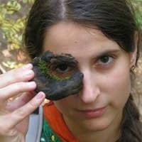 My People: A History of the Native Americans by William Camus