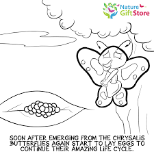 Free printable monarch butterfly chrysallis coloring book page home. Printable Coloring Pages Nature Gift Store