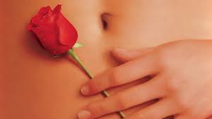 Falling roses american beauty 3d kevin spacey youtube 3d player test yt3d:enable=true american trailer deleted scene story new release 3d version new 3d movie television edited deleted banned. What Do Roses Represent In American Beauty Hint It Ain T Beauty