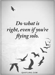 We did not find results for: Quotes Do What Is Right Even If You Are Flying Solo Good Life Quotes Fly Quotes Best Inspirational Quotes