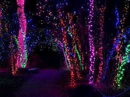 Denver botanic gardens presented the rocky mountain region's first major outdoor exhibition of artwork by celebrated american artist, dale chihuly. Photos Blossoms Of Light Illuminates The Denver Botanic Gardens